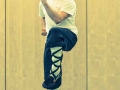 3 Wu Bu Quan